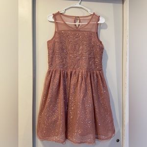 Rose Gold Sparkly Dress